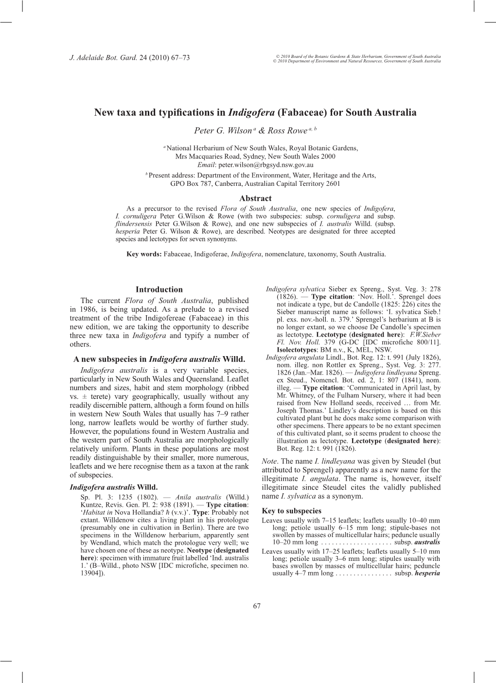 New Taxa and Typifications in Indigofera