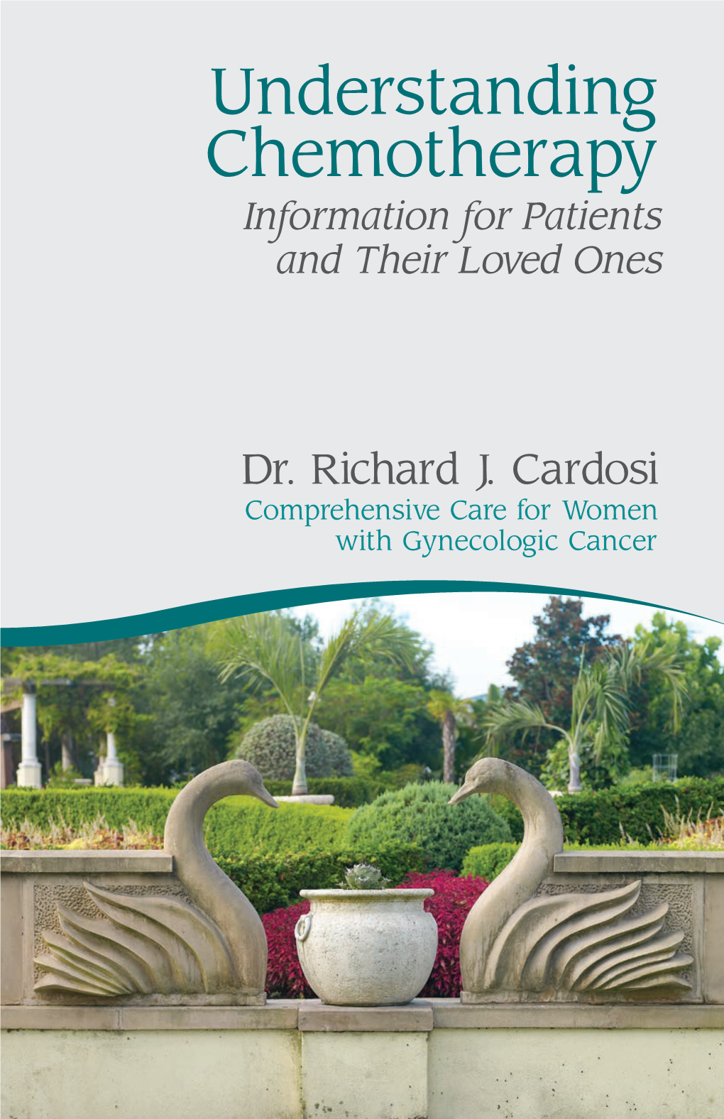 Understanding Chemotherapy Information for Patients and Their Loved Ones