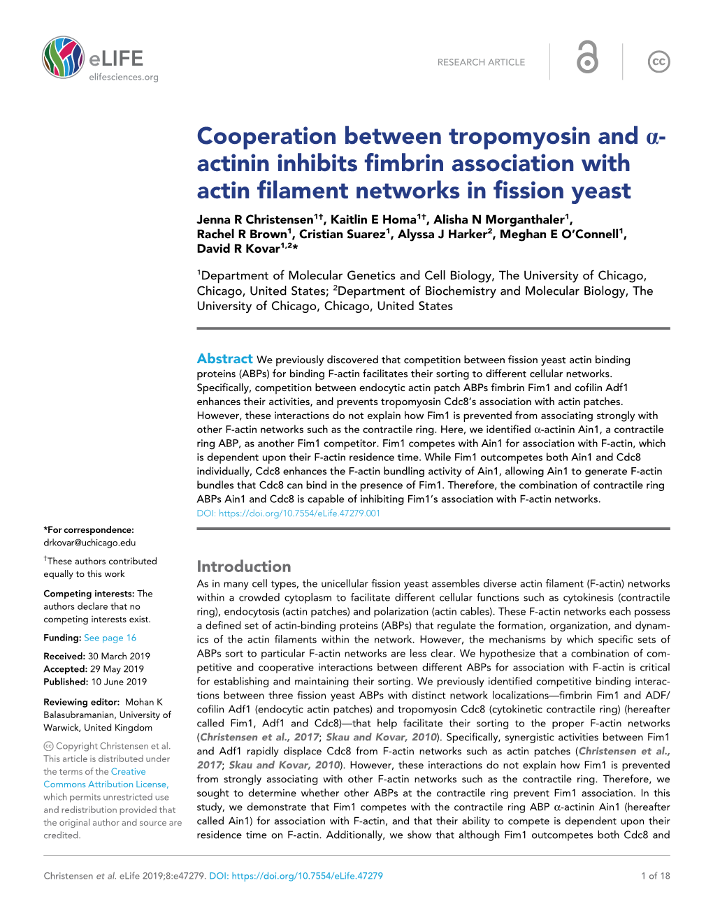 Actinin Inhibits Fimbrin Association with Actin Filament Networks in Fission