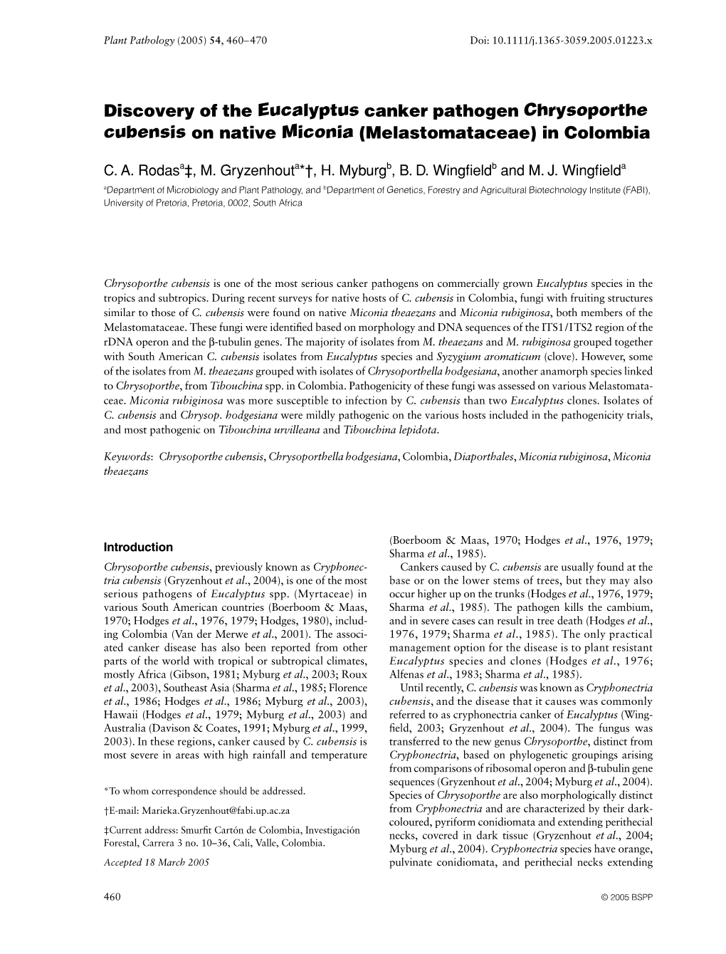 Discovery of the Eucalyptus Canker Pathogen Chrysoporthe