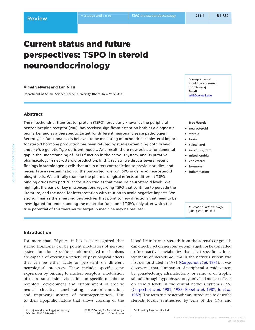 TSPO in Steroid Neuroendocrinology