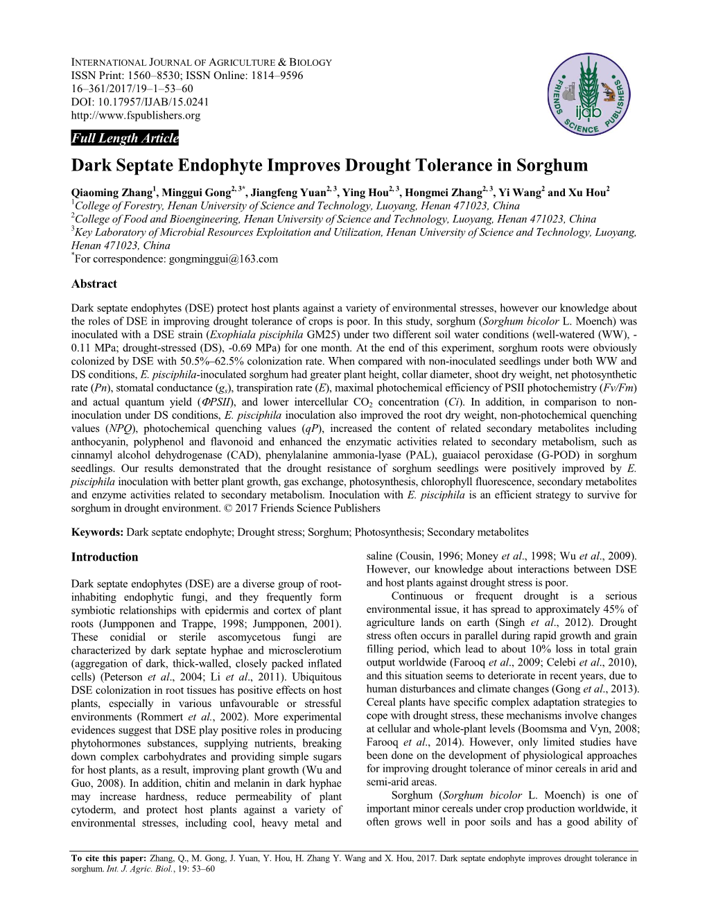 Dark Septate Endophyte Improves Drought Tolerance in Sorghum