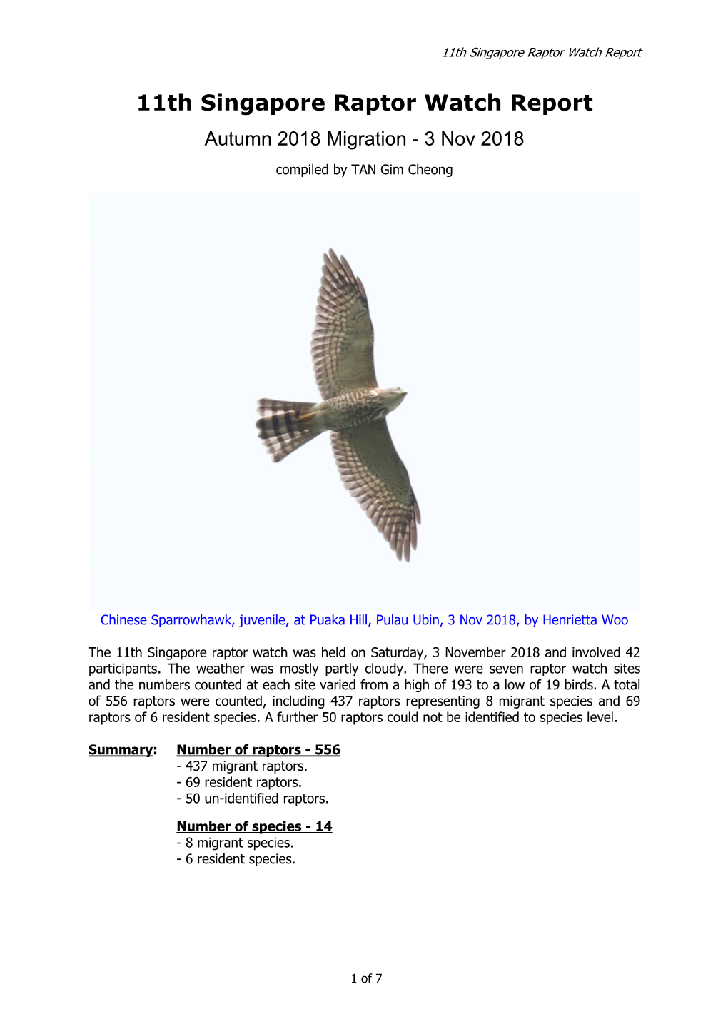 11Th Singapore Raptor Watch Report