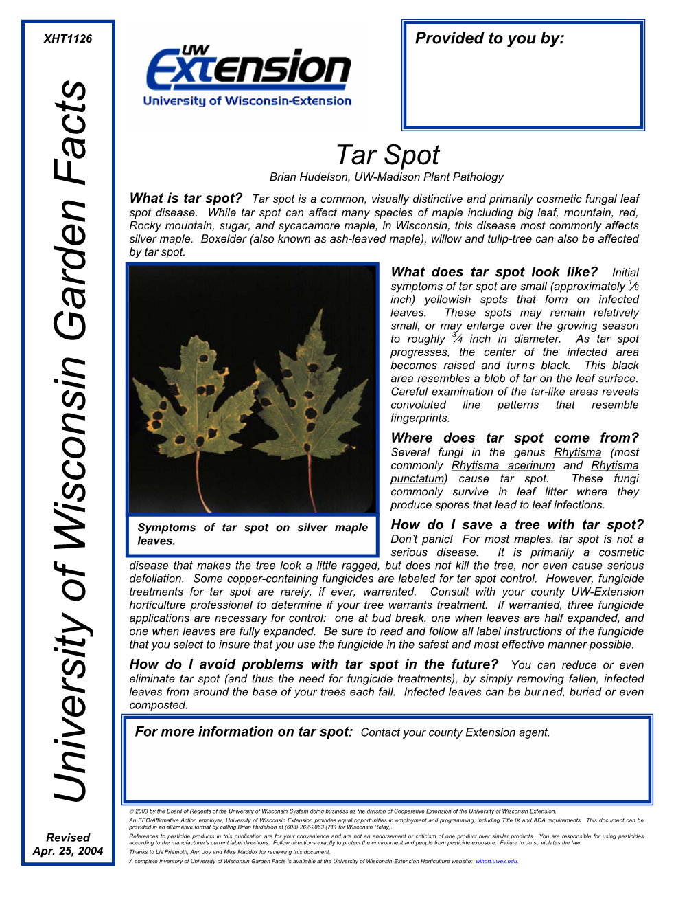 Tar Spot Brian Hudelson, UW-Madison Plant Pathology