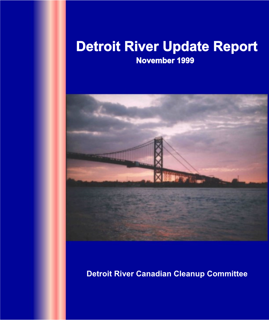 Detroit River Update Report November 1999