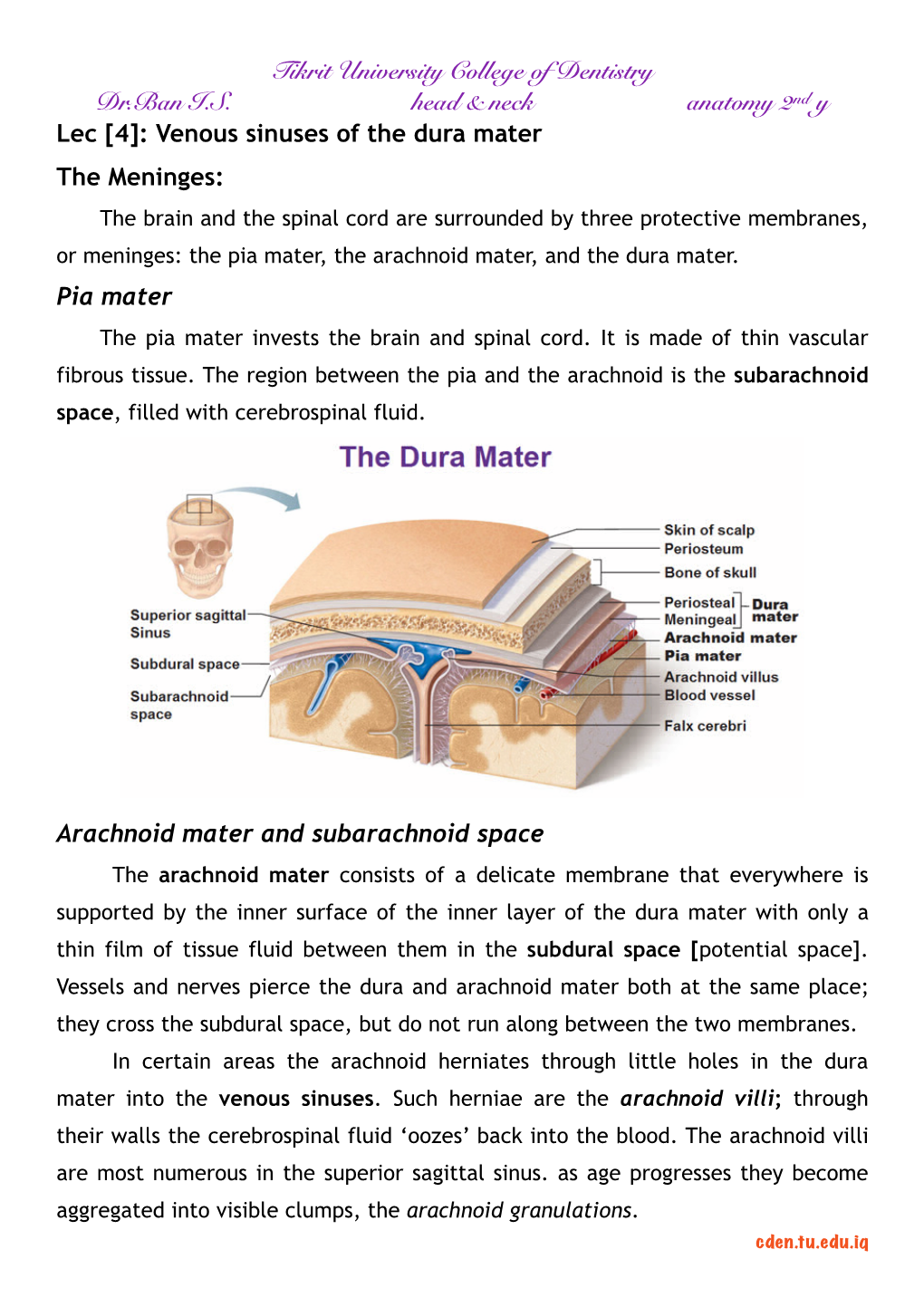 Tikrit University College of Dentistry Dr.Ban IS Head & Neck Anatomy 2Nd Y