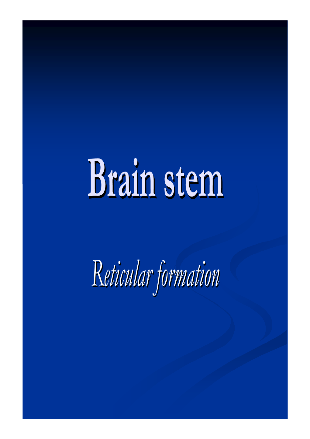 Reticular Formationformation Definitiondefinition