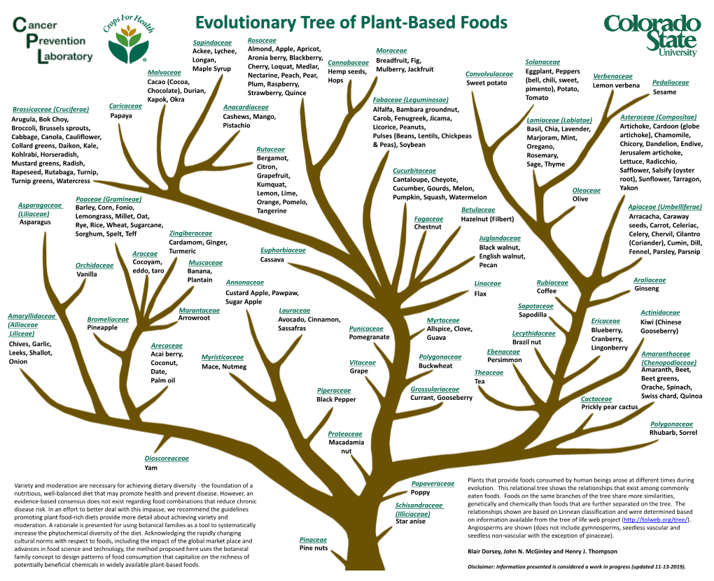 Evolutionary Tree of Plant-Based Foods