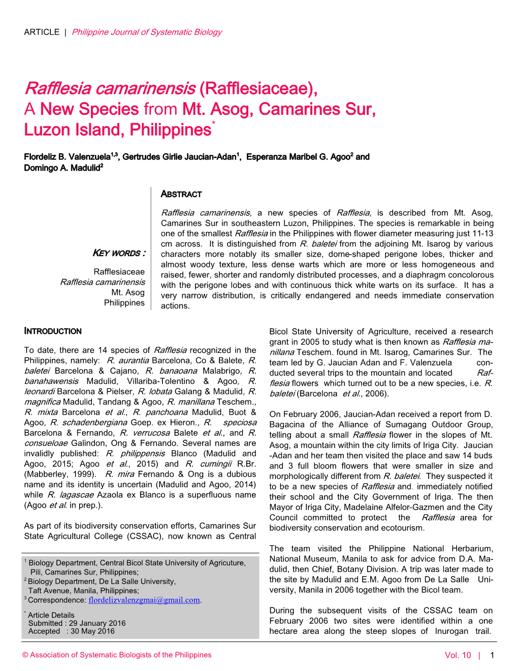Rafflesia Camarinensis (Rafflesiaceae), a New Species from Mt