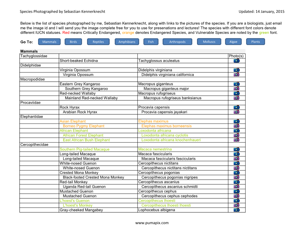 Species Photographed by Sebastian Kennerknecht Updated: 14 January, 2015