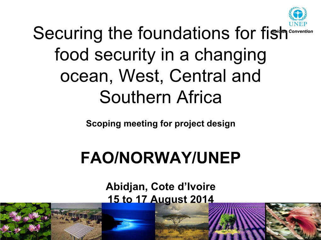 Securing the Foundations for Fish Food Security in a Changing Ocean, West, Central and Southern Africa