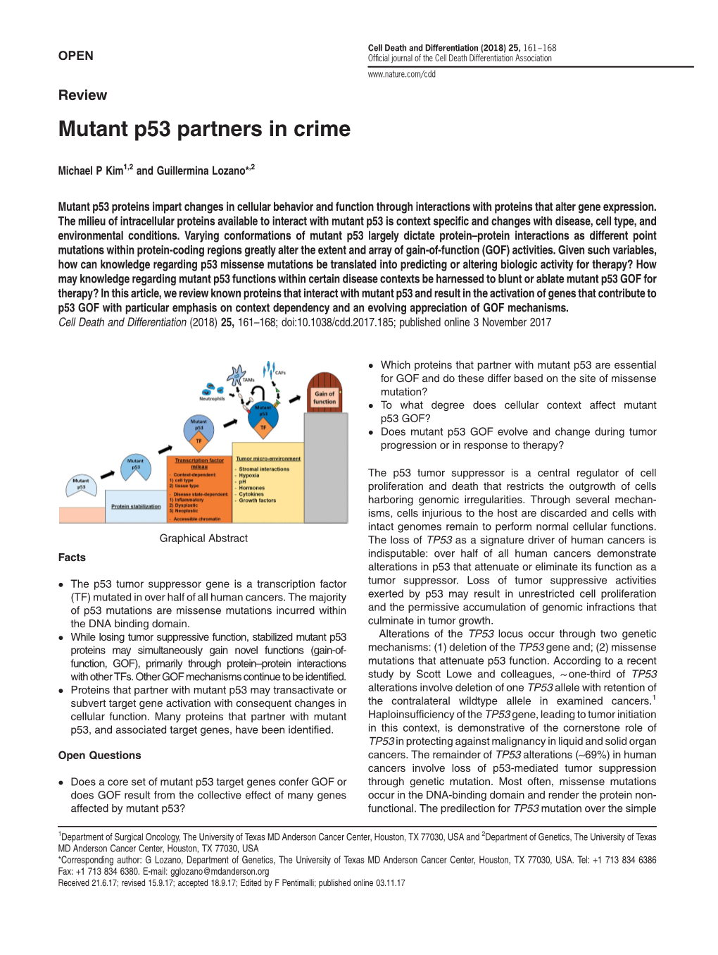 Mutant P53 Partners in Crime