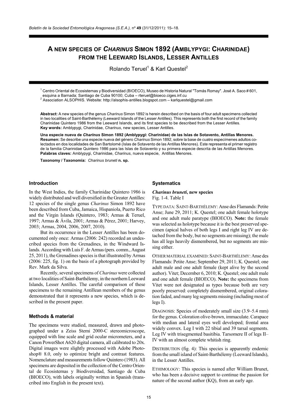 A New Species of Charinus Simon 1892 (Amblypygi: Charinidae) from the Leeward Islands, Lesser Antilles