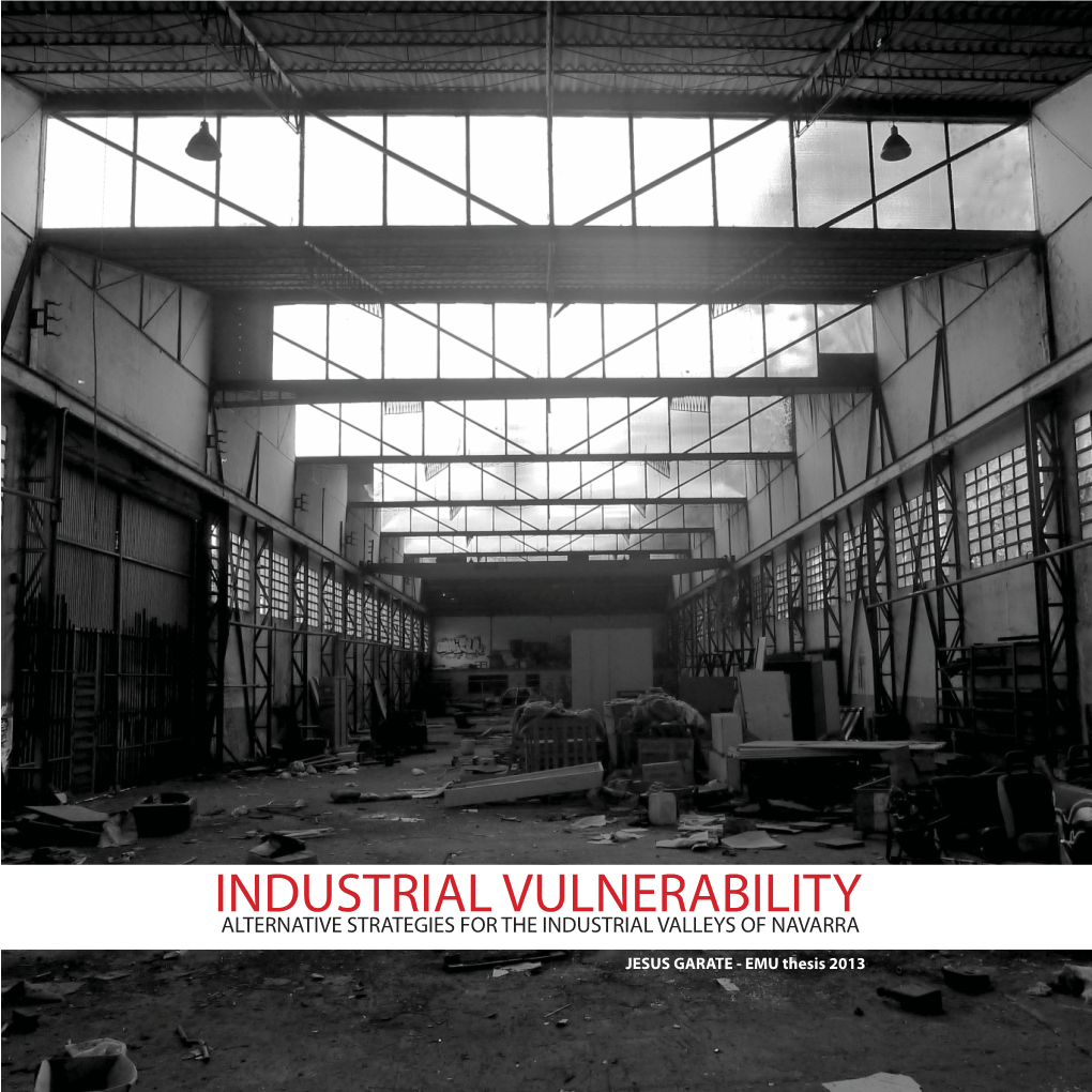 Industrial Vulnerability Alternative Strategies for the Industrial Valleys of Navarra