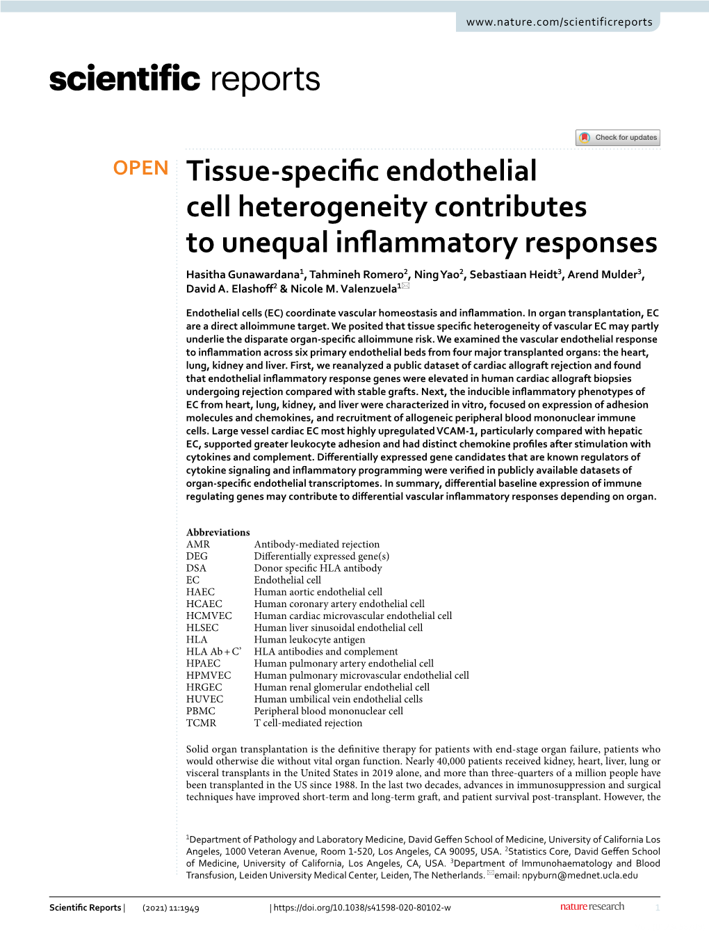 Tissue-Specific Endothelial Cell Heterogeneity Contributes To