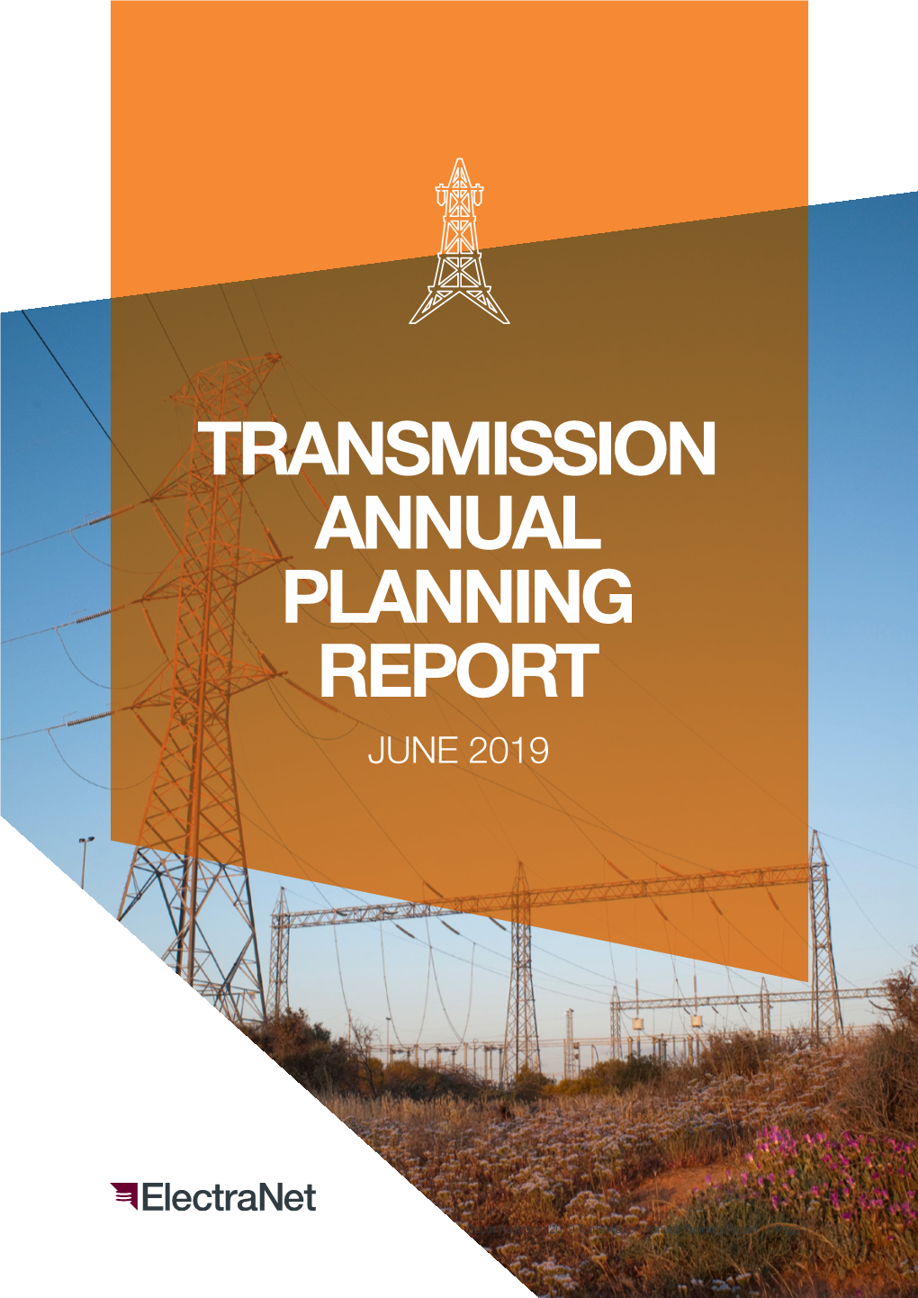 Transmission Annual Planning Report June 2019