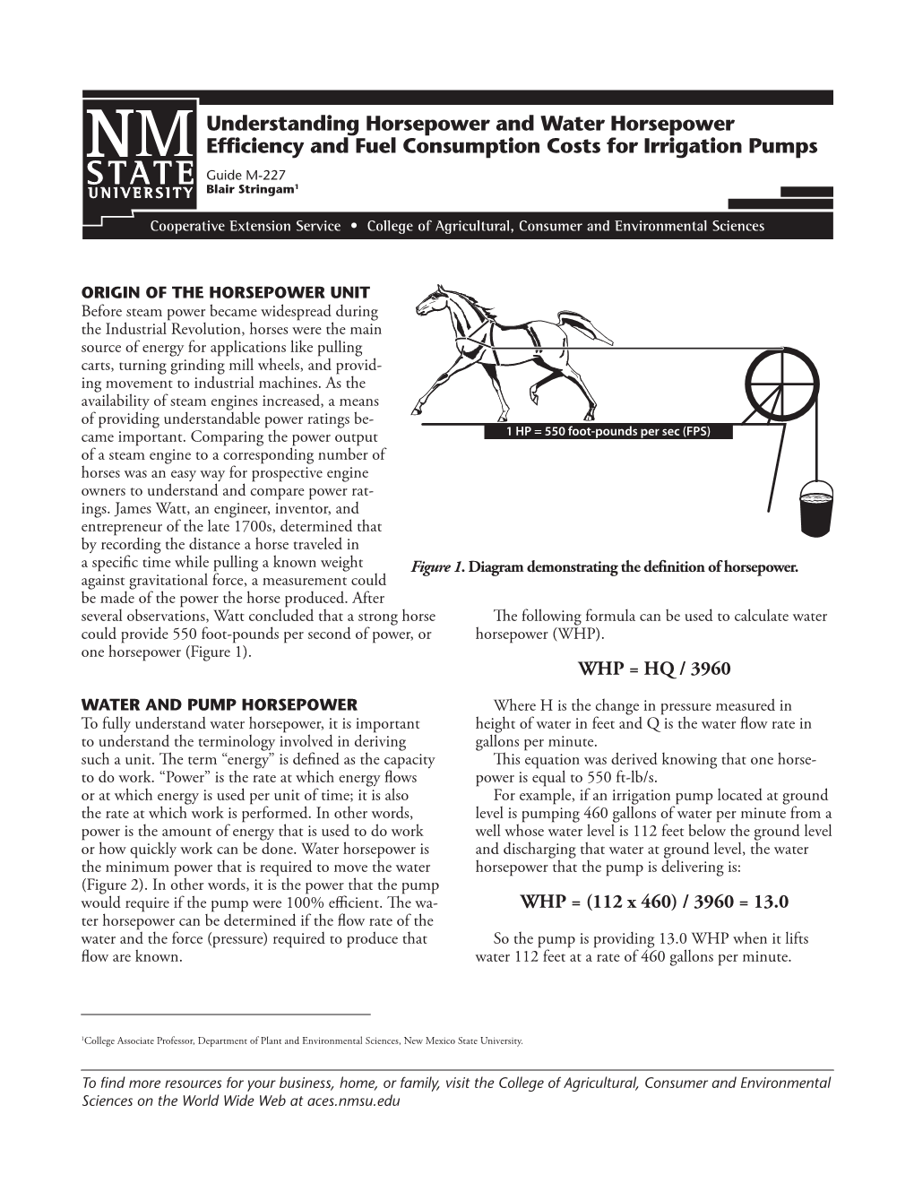 Horsepower and Water Horsepower Efficiency and Fuel Consumption Costs for Irrigation Pumps