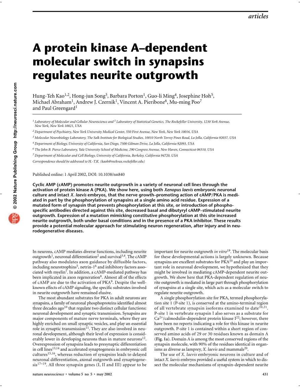 A Protein Kinase A–Dependent Molecular Switch in Synapsins Regulates Neurite Outgrowth