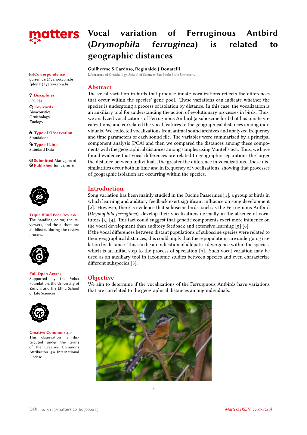 Vocal Variation of Ferruginous Antbird (Drymophila Ferruginea) Is Related to Geographic Distances