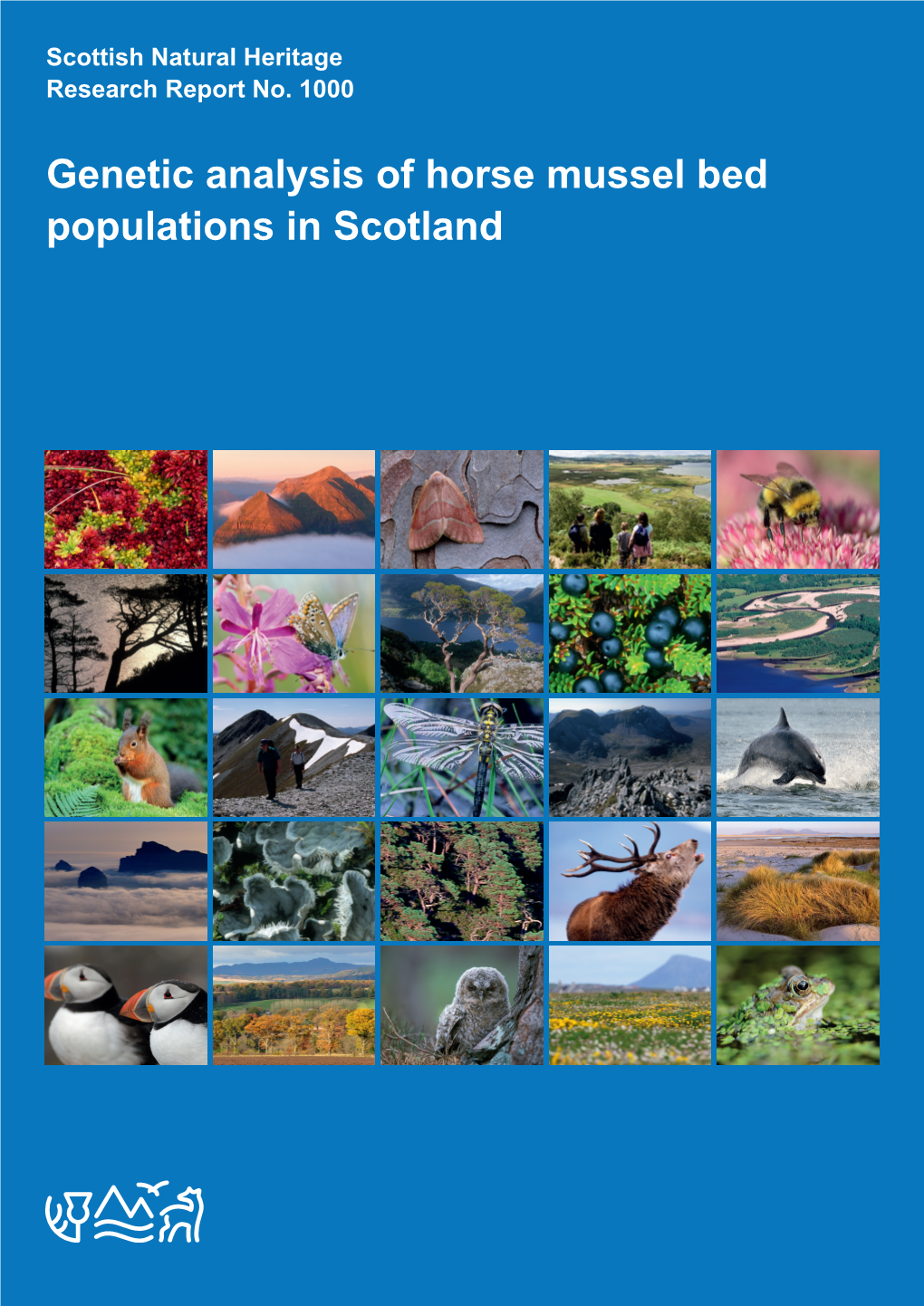 Genetic Analysis of Horse Mussel Bed Populations in Scotland