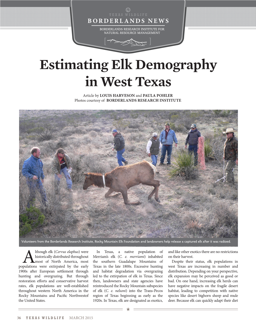 Estimating Elk Demography in West Texas