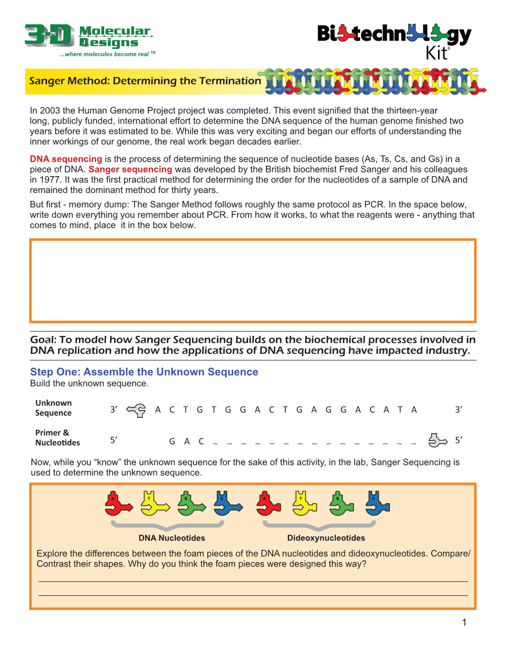 Determining the Termination Goal: to Model How Sanger Sequencing Builds on the Biochemical Processes Involved In