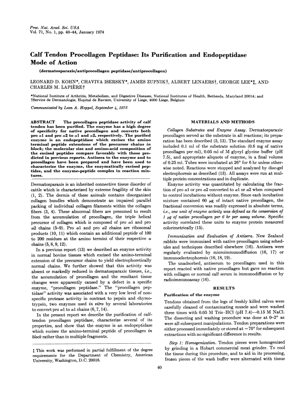 Calf Tendon Procollagen Peptidase: Its Purification and Endopeptidase Mode of Action (Dermatosparaxis/Antiprocollagen Peptidase/Antiprocollagen) LEONARD D