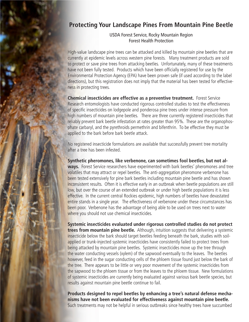 Protecting Your Landscape Pines from Mountain Pine Beetle USDA Forest Service, Rocky Mountain Region Forest Health Protection