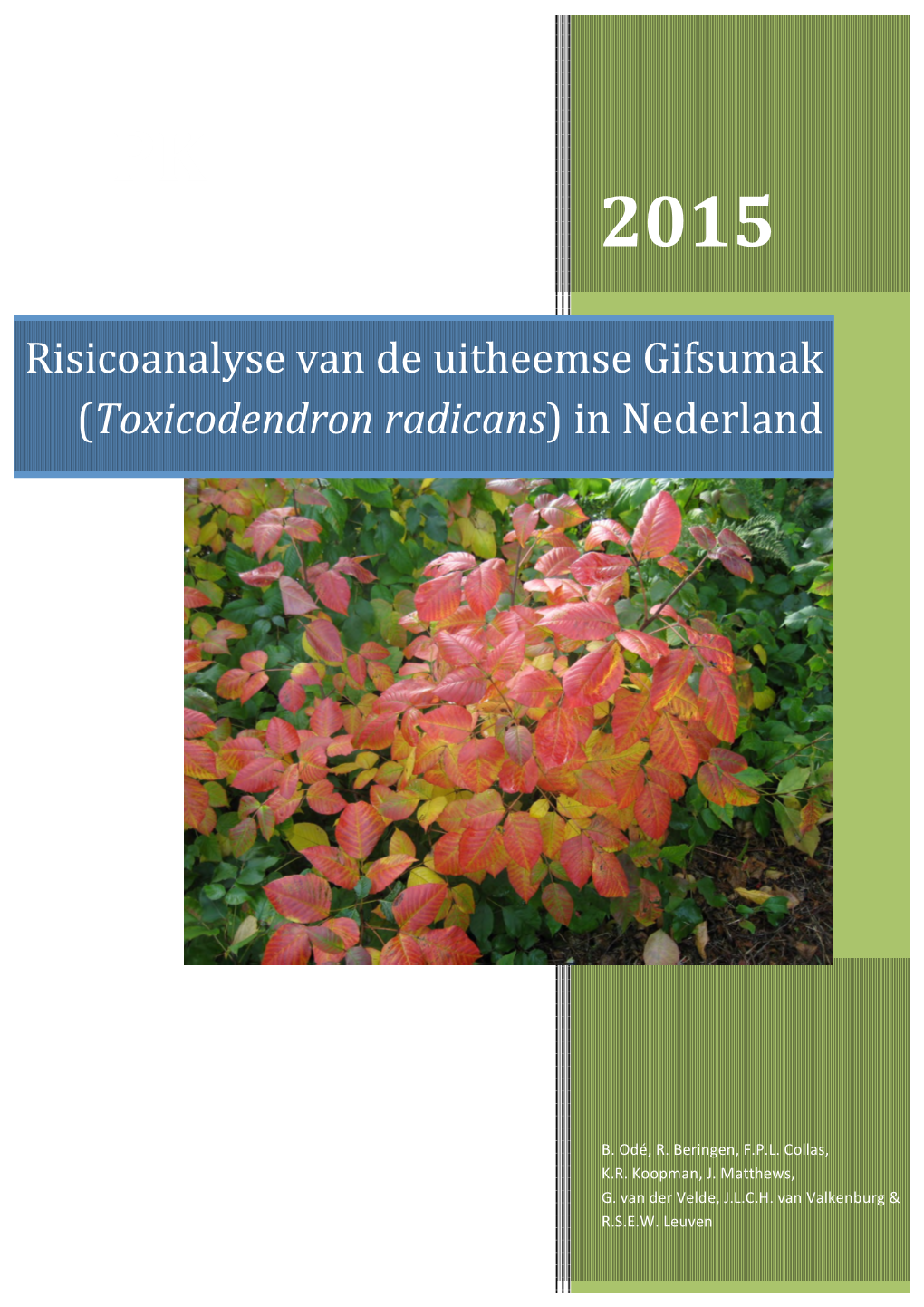 Toxicodendron Radicans) in Nederland