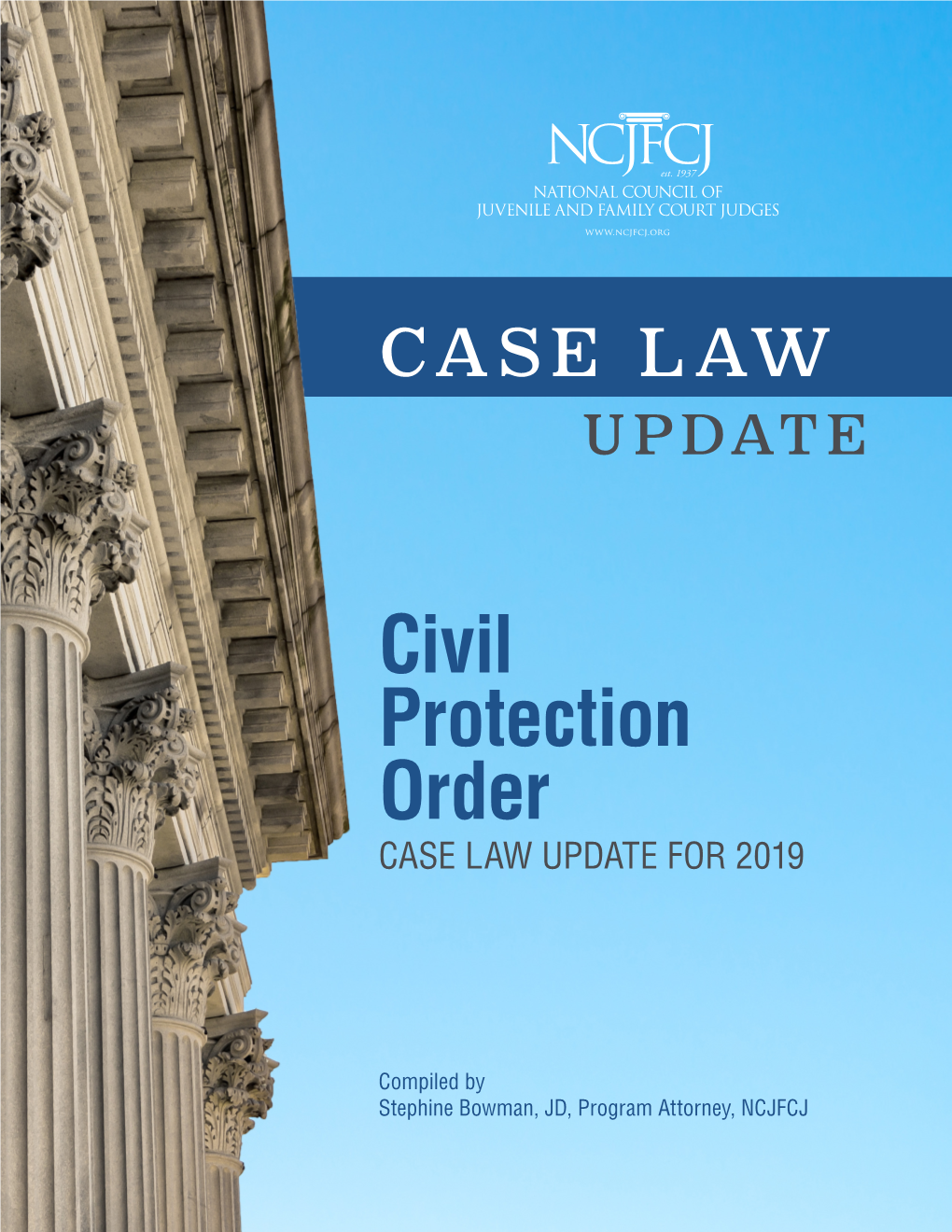 Civil Protection Order: Case Law Update for 2019