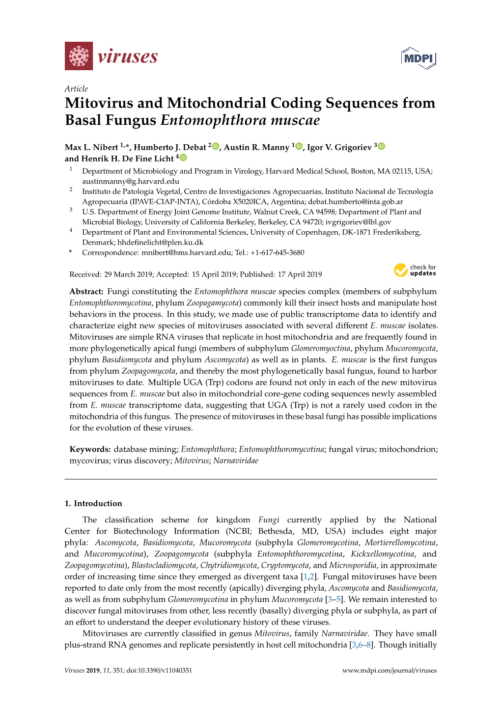 Mitovirus and Mitochondrial Coding Sequences from Basal Fungus Entomophthora Muscae