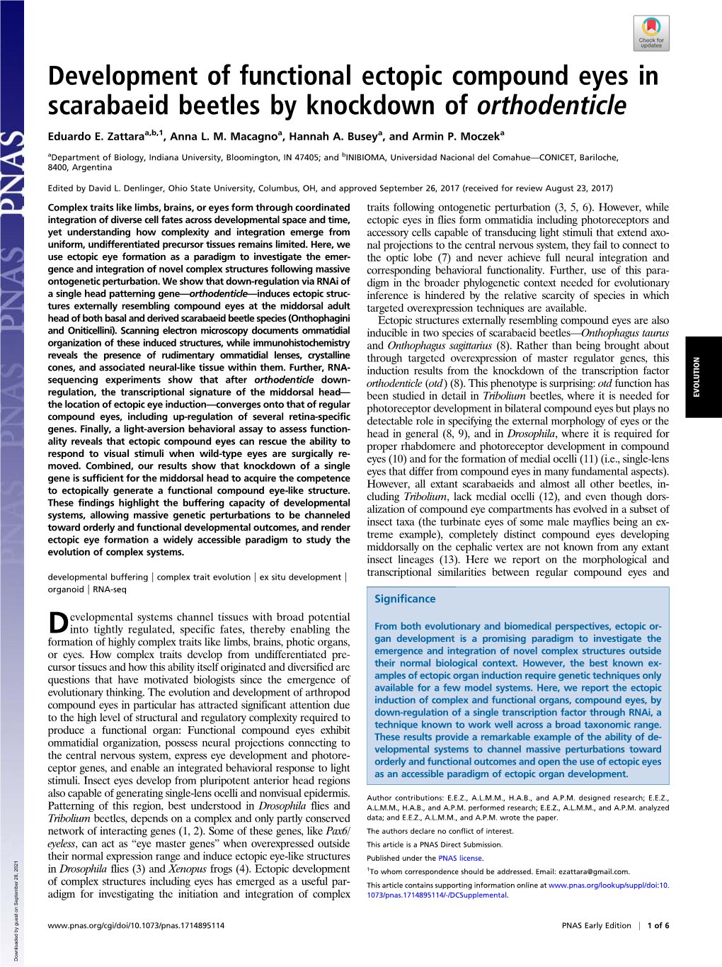 Development of Functional Ectopic Compound Eyes in Scarabaeid Beetles by Knockdown of Orthodenticle