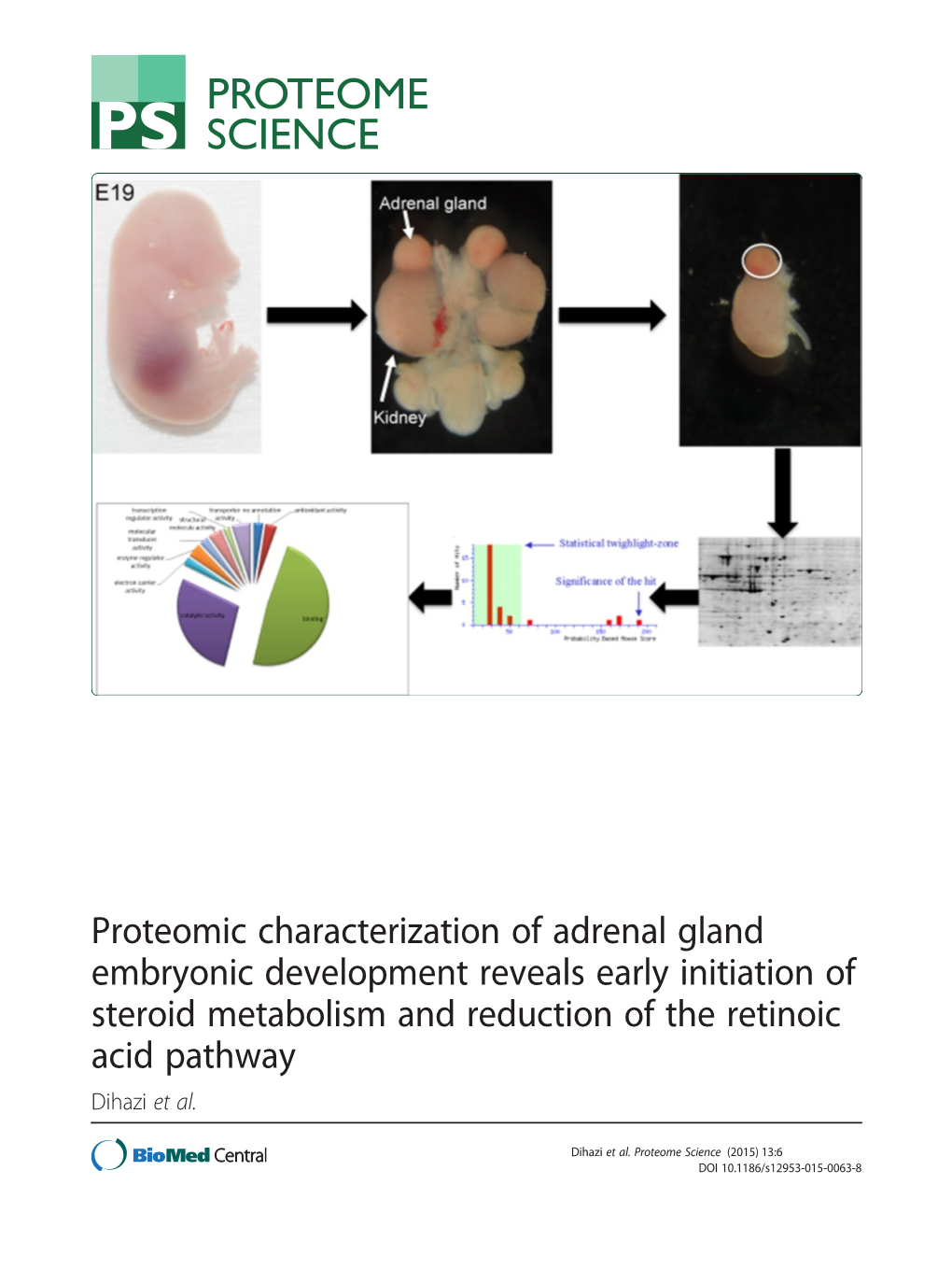 Proteomic Characterization of Adrenal Gland Embryonic Development