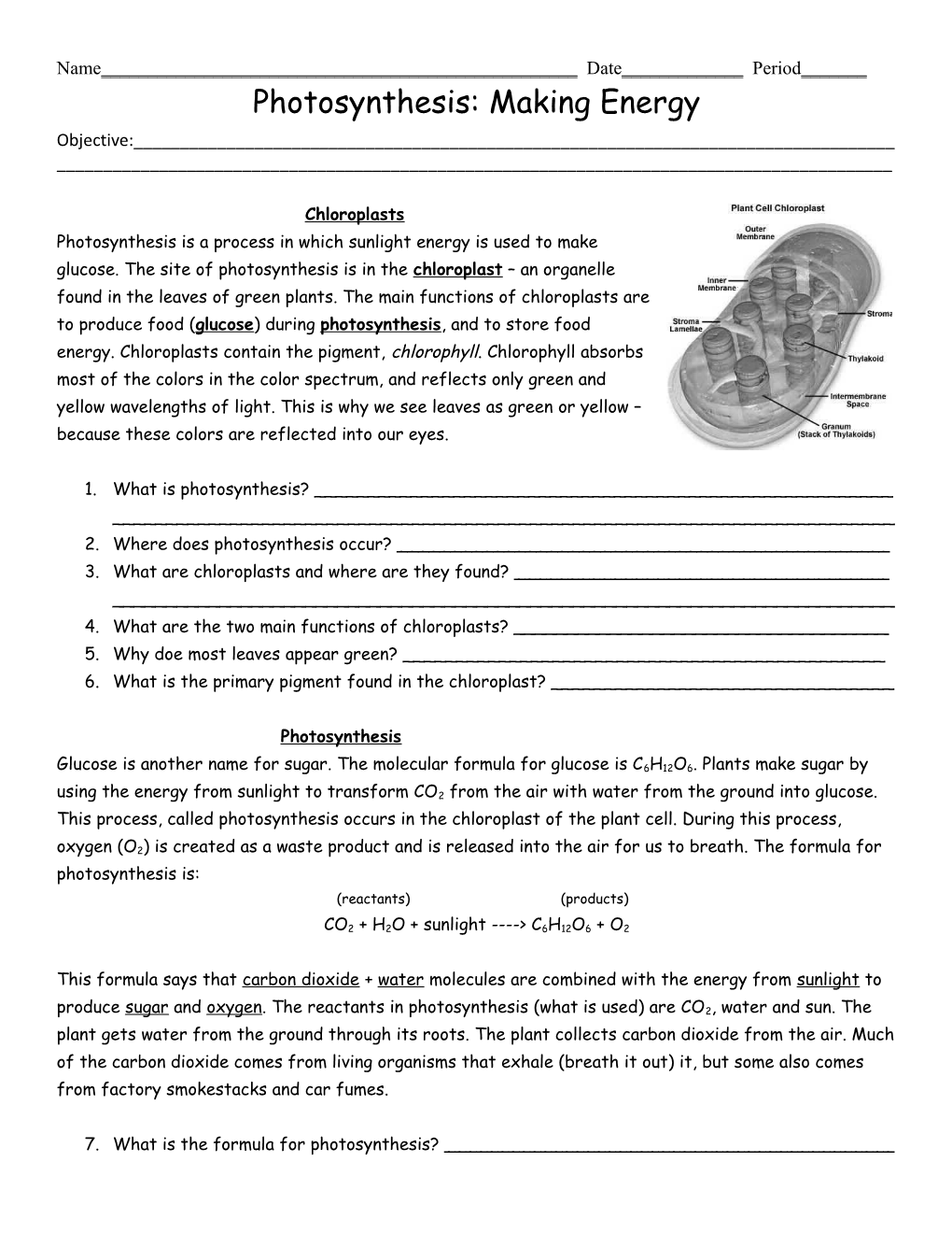 Photosynthesis Worksheet (Making Energy)