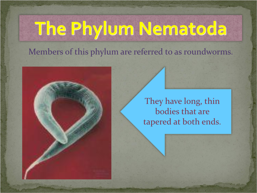 Platyhelminthes and Nematoda