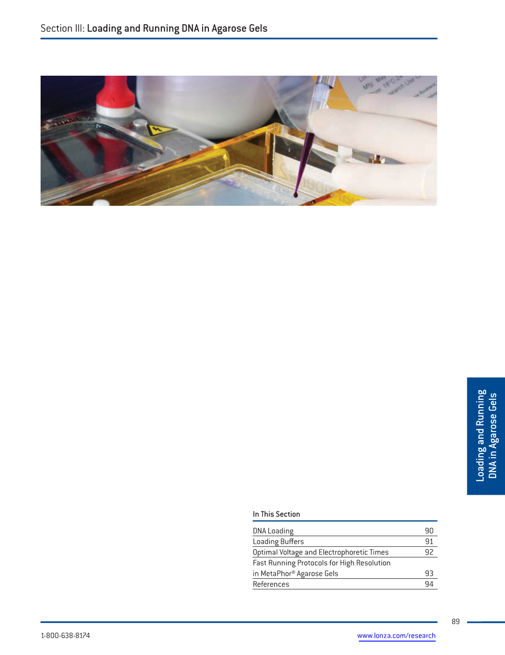 Loading and Running DNA in Agarose Gels Section III: Loading and Running DNA in Agarose Gels