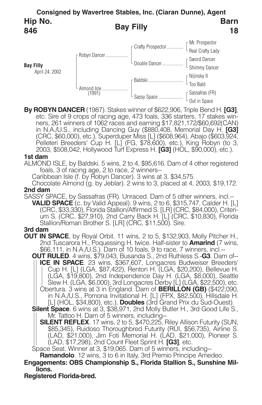 Bay Filly Barn 18 Hip No