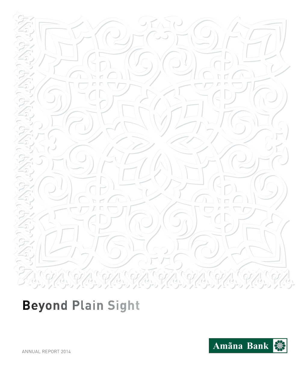 Beyond Plain Sight