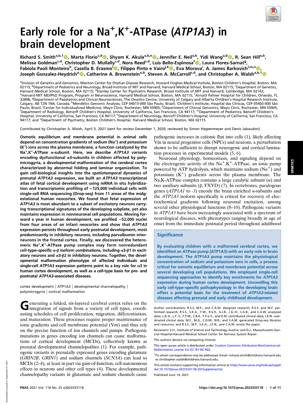 Early Role for a Na+,K+-Atpase (ATP1A3) in Brain Development