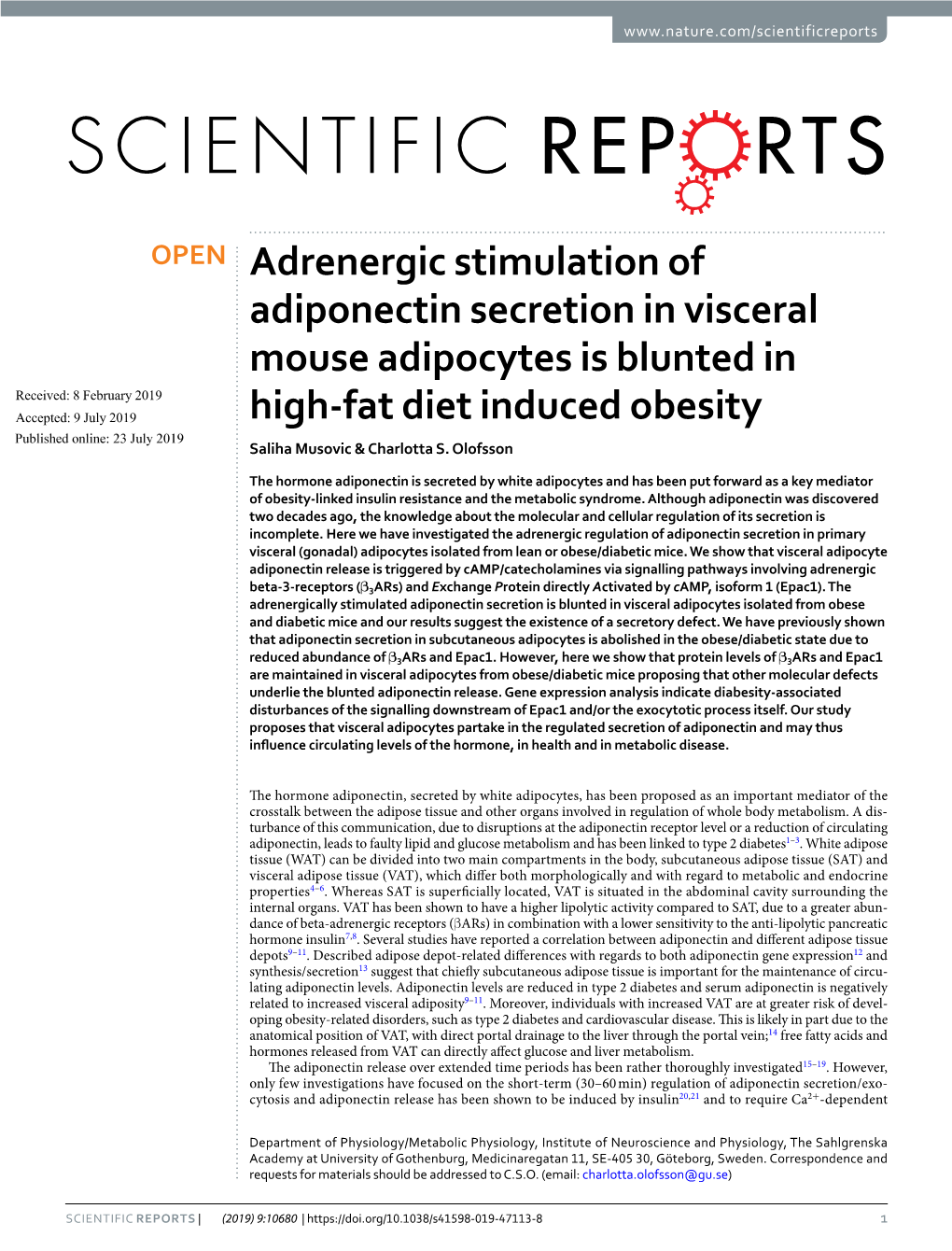 Adrenergic Stimulation of Adiponectin Secretion in Visceral Mouse