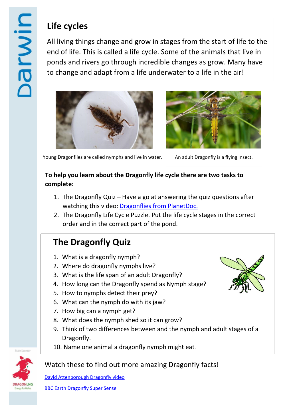 Life Cycles the Dragonfly Quiz