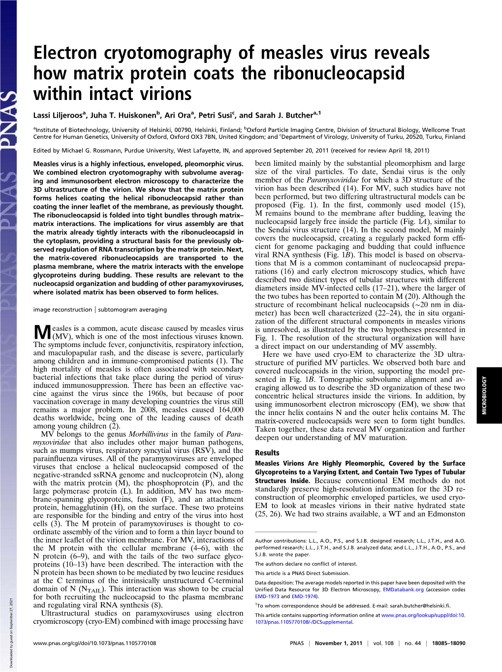 Electron Cryotomography of Measles Virus Reveals How Matrix Protein Coats the Ribonucleocapsid Within Intact Virions