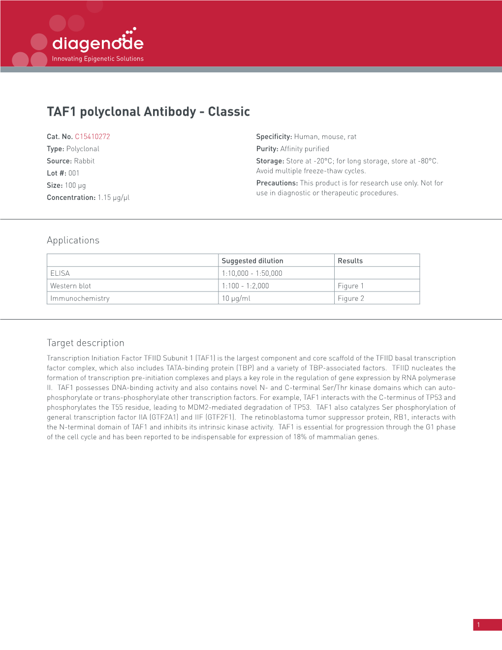 TAF1 Polyclonal Antibody - Classic