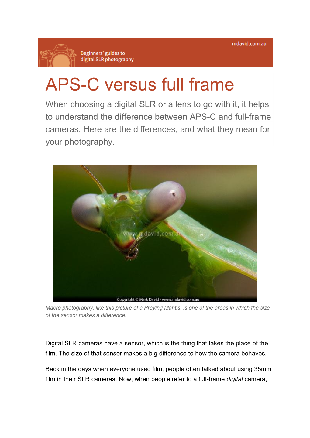 APS-C Versus Full Frame When Choosing a Digital SLR Or a Lens to Go with It, It Helps to Understand the Difference Between APS-C and Full-Frame Cameras