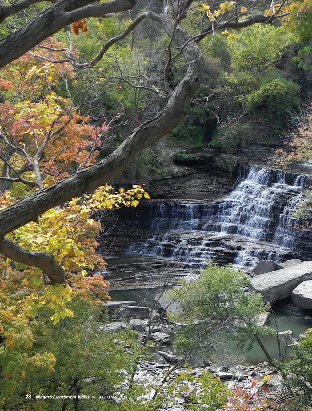 28 Niagara Escarpment Views • Autumn 2015 the City of Waterfalls by HELEN POWERS N PHOTOS by JOSEPH HOLLICK & HELEN POWERS