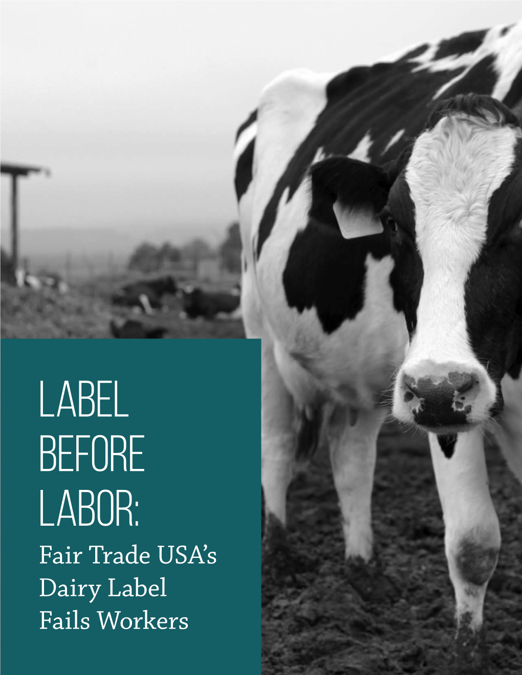 Label Before Labor: Fair Trade USA's Dairy Label Fails Workers