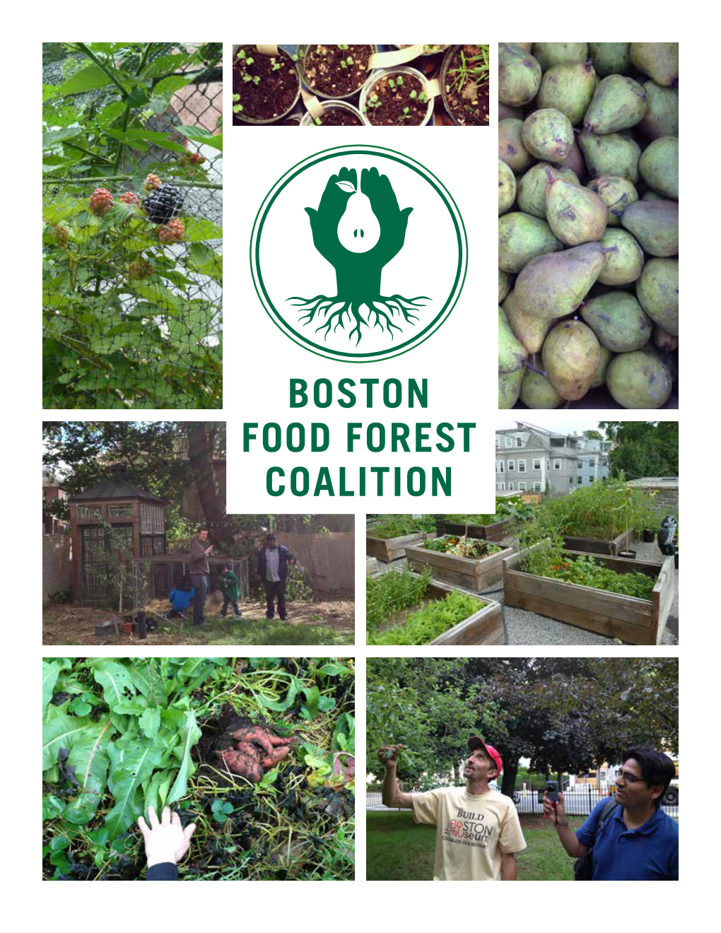 Boston Food Forest Coalition