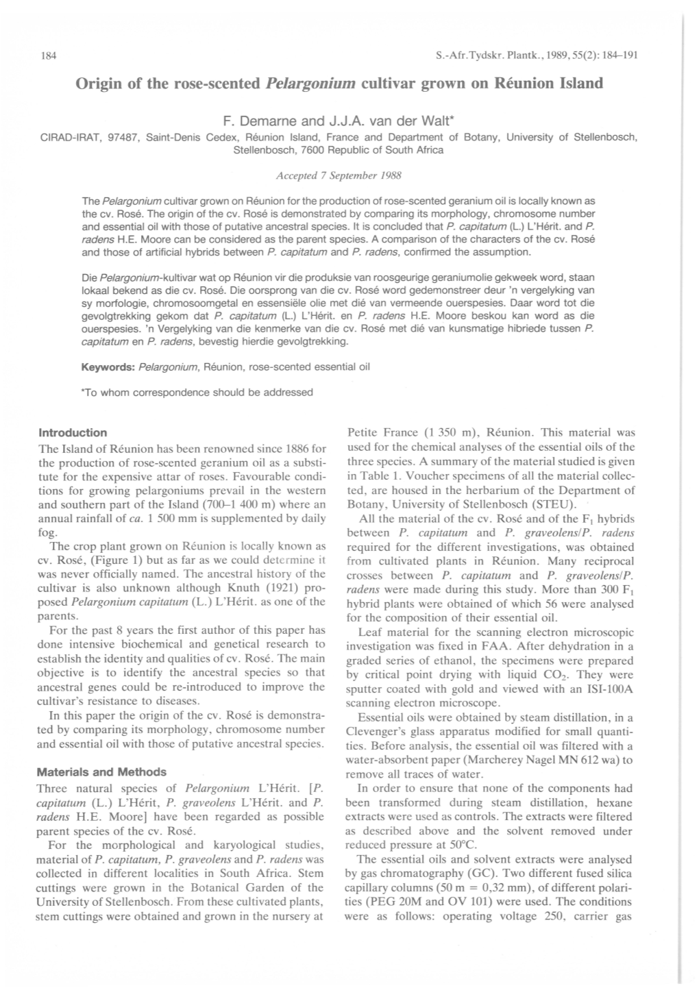 Origin of the Rose-Scented Pelargonium Cultivar Grown on Réunion Island