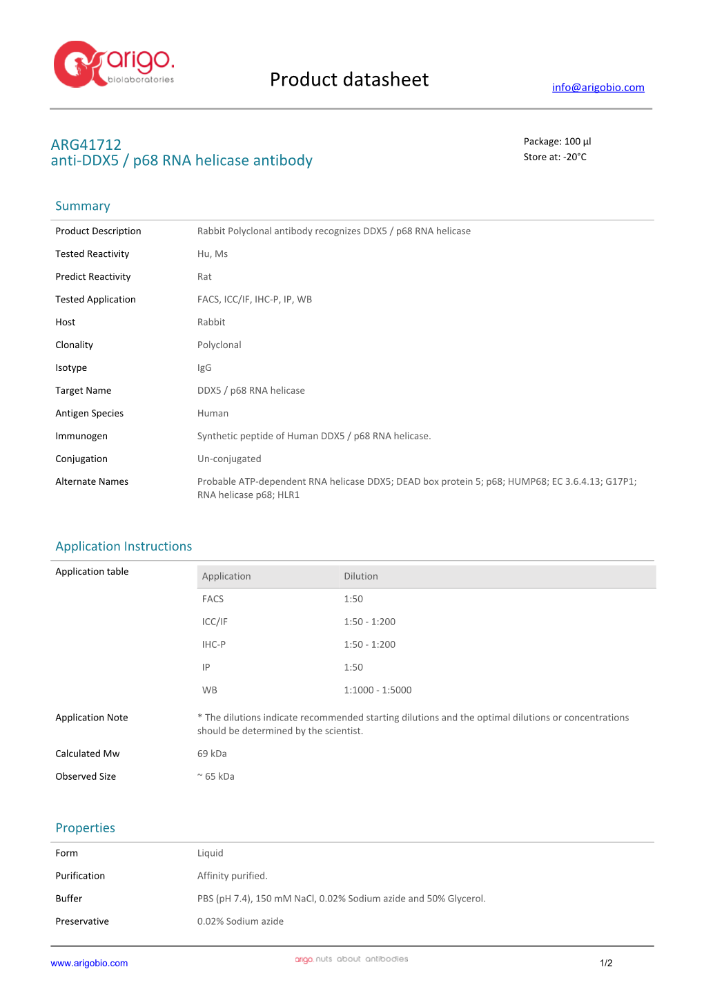 Anti-DDX5 / P68 RNA Helicase Antibody (ARG41712)