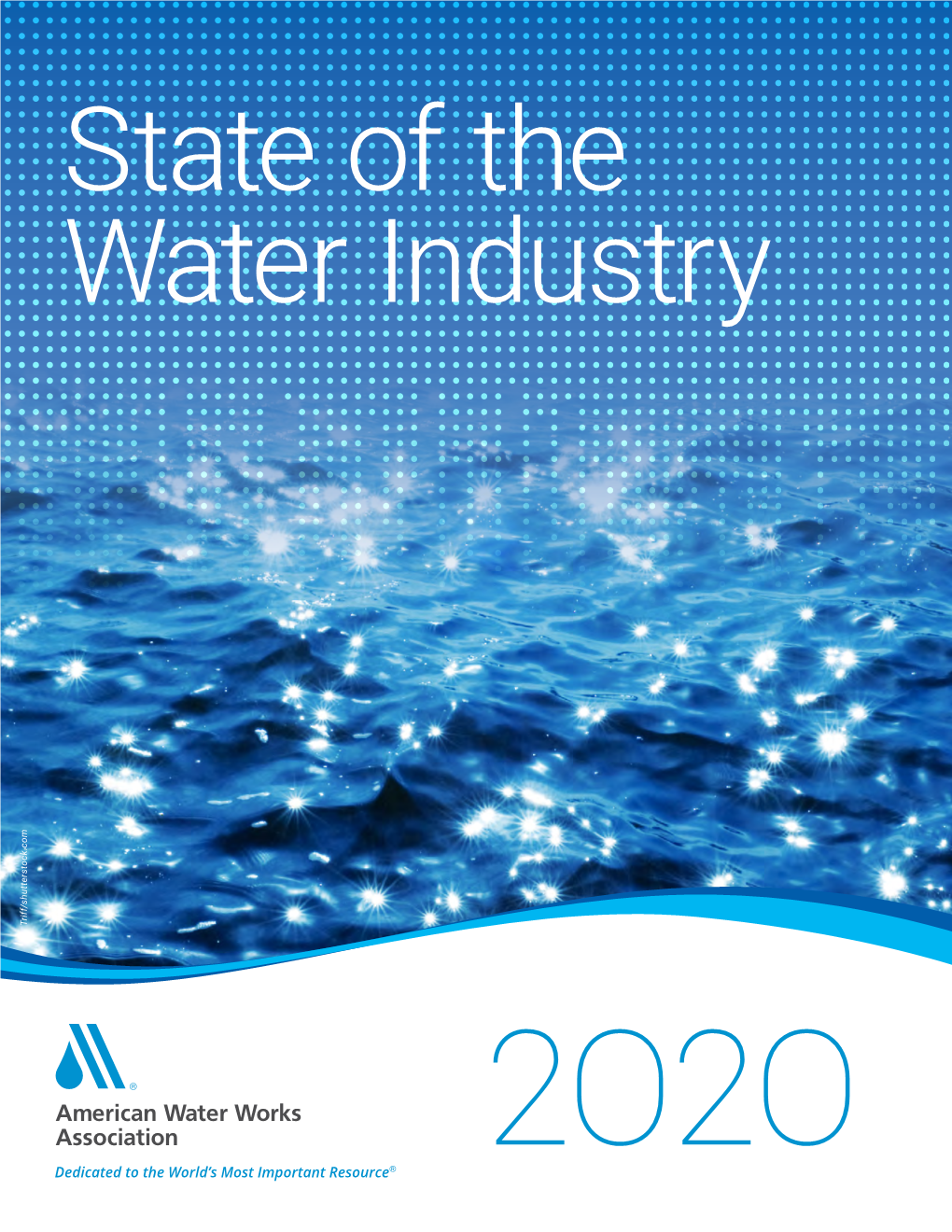 2020 State of the Water Industry Report